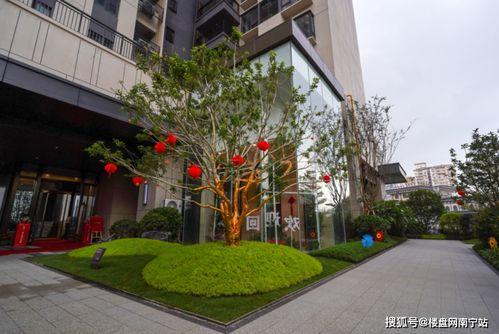 南宁华润爆料最新消息,揭秘项目进展与未来规划  第1张