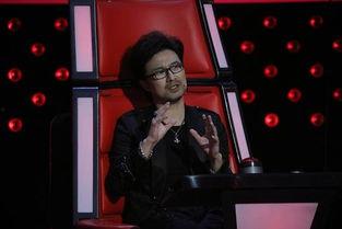 中国好声音汪峰爆料视频,独家爆料震撼来袭  第3张